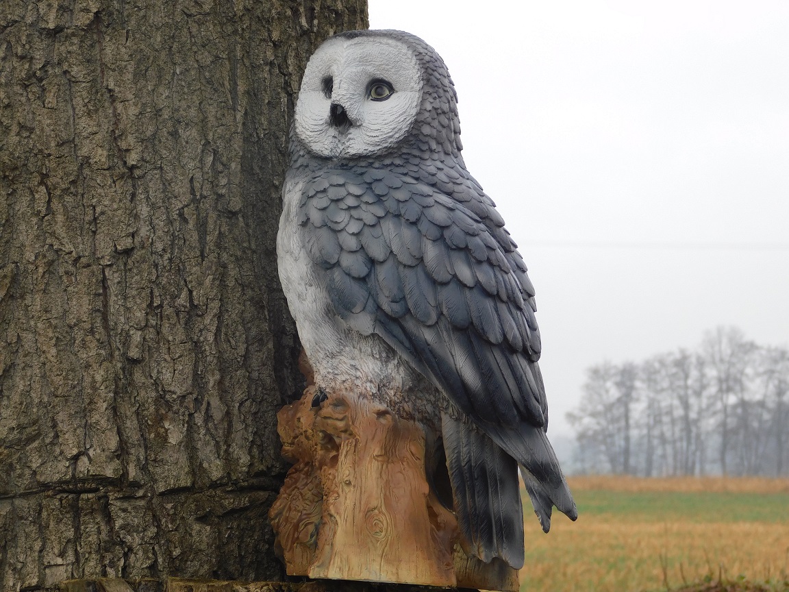 Owl on stump - grey - polystone - detailed