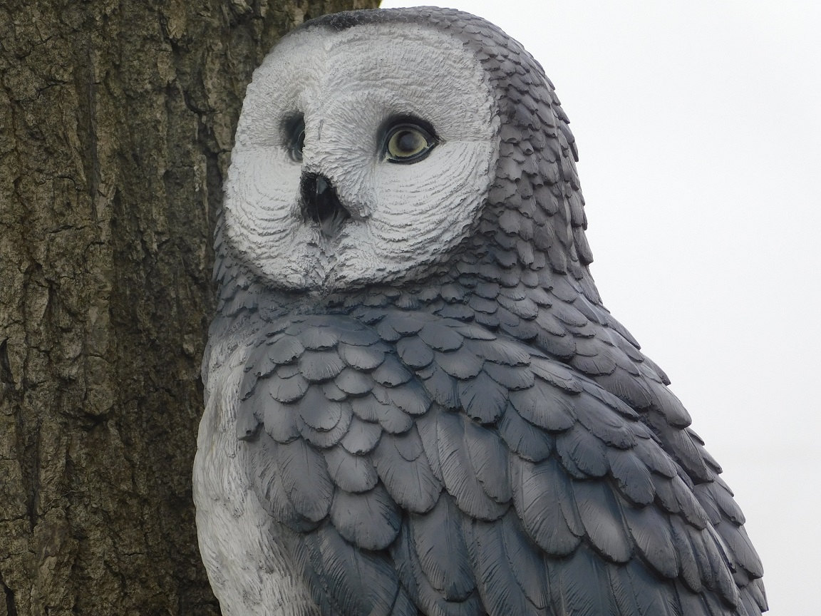 Owl on stump - grey - polystone - detailed