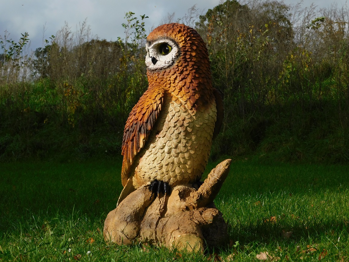 Owl on Tree Trunk XL - Full in Colour - Polystone