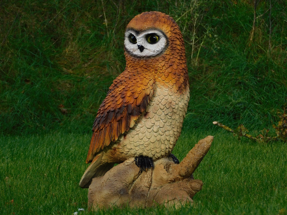 Owl on Tree Trunk XL - Full in Colour - Polystone