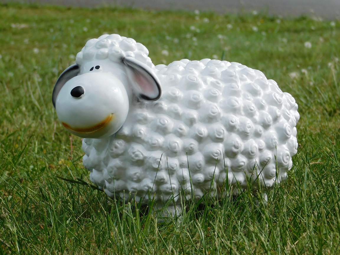 Statue of sheep - white - polystone