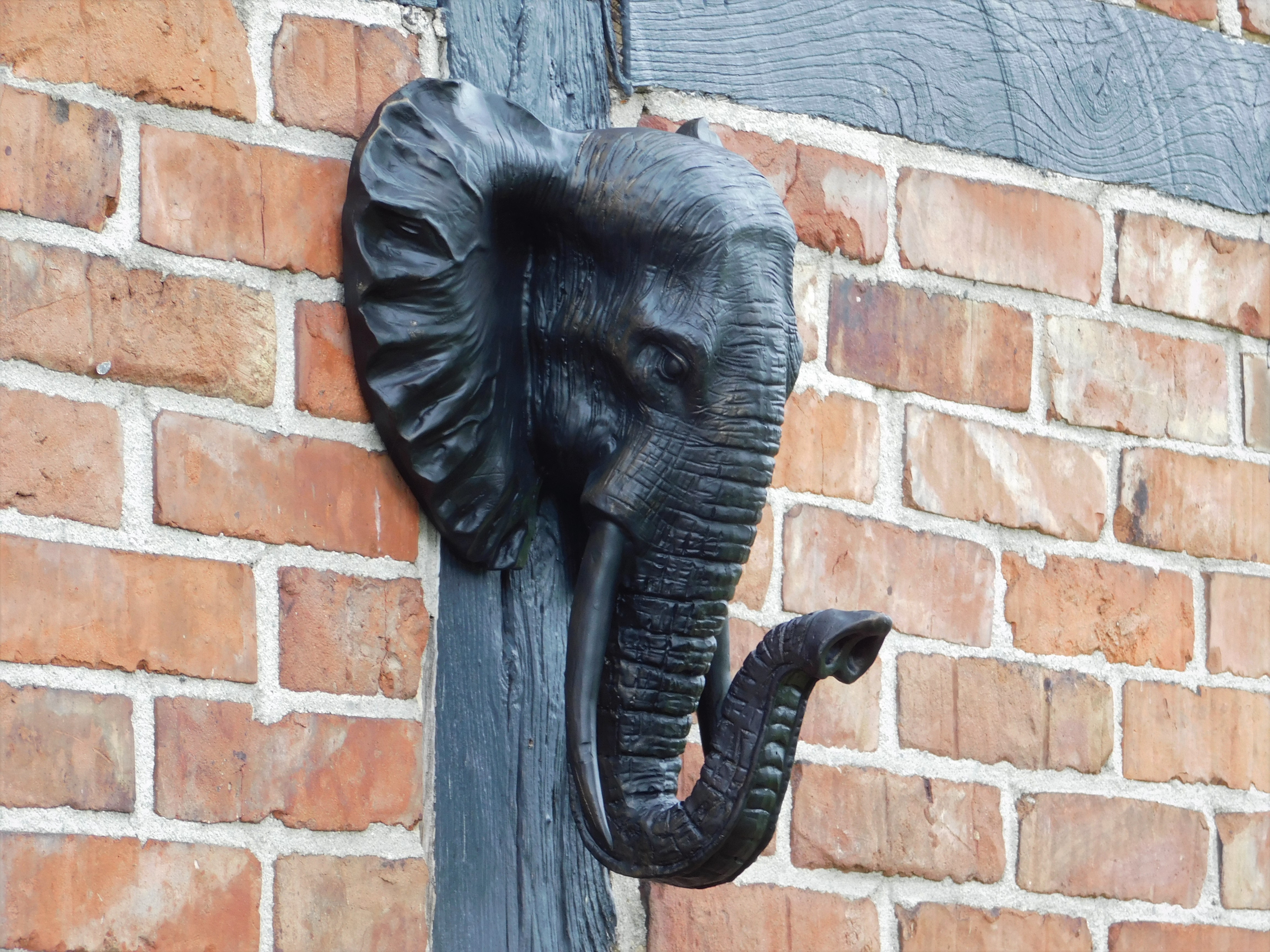 Black Elephant Head - Wall decoration - Polystone