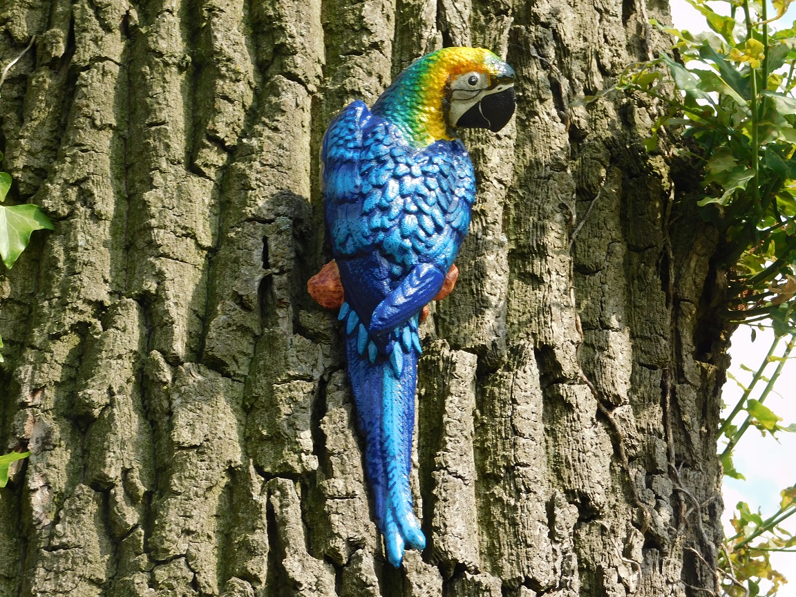 Blauwe Papegaai - Gietijzer - Wanddecoratie