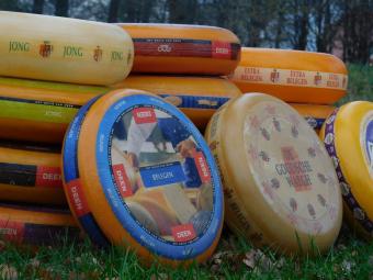 Decoratieve Kaaswielen - 2 stuks - Ø 35 cm - Diverse Soorten