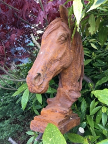 Paarden hoofd gemaakt van ijzer