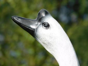 Beeld Gans - 80 x 50 cm - Polystone