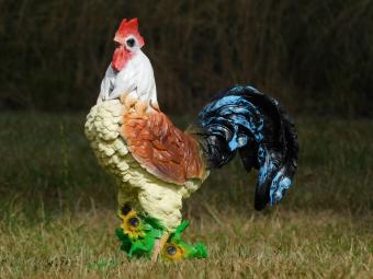 Colour Rooster Statue - 37 cm - Polystone
