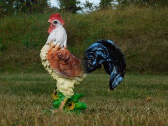 Colour Rooster Statue - 37 cm - Polystone