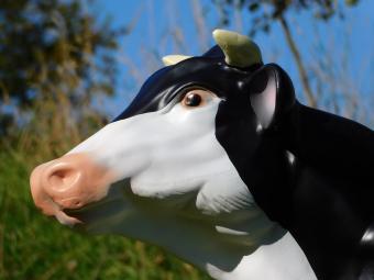 Cow statue - 105 cm - Polystone