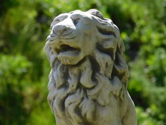 Garden Statue – Lion – Sitting – 50 cm – Solid Stone