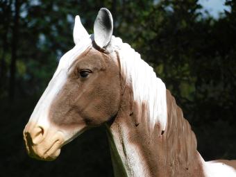 Beeld Paard Bruin met Wit - 105 cm - Polystone