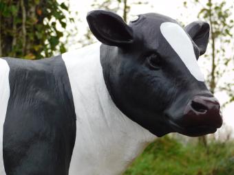 Beeld Stier XL - 120 cm - Polystone