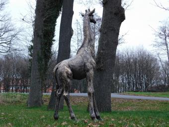 One-off: Giraffe XL - 180 cm - Polystone