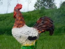 Beeld Haan in Kleur - Polystone - 40cm hoog