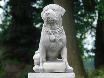images/productimages/small/hond.skl.68.pl-1907-hs101822.jpg