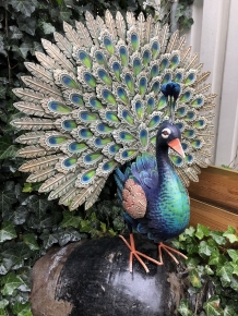 Metalen trotse pronkende pauwhaan, vol in kleuren