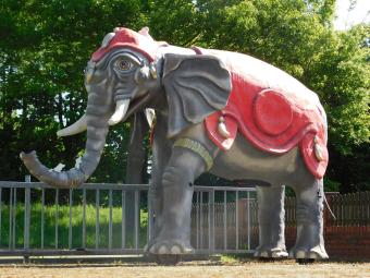 images/productimages/small/olifant.xxxl.340.40011.jpg