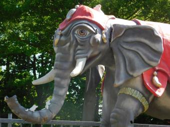 images/productimages/small/olifant.xxxl.340.40022.jpg