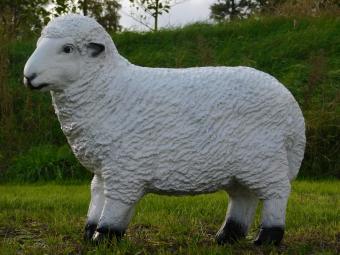 Beeld Schaap - 45 x 55 cm - Polystone