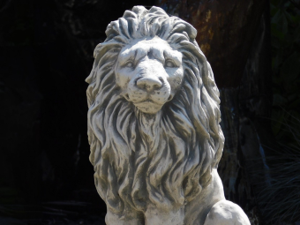 Lions Set – Left & Right – Solid Stone