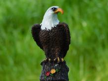 images/productimages/small/tuinst.adelaar.led.solar.h4311.jpg