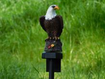 images/productimages/small/tuinst.adelaar.led.solar.h4322.jpg