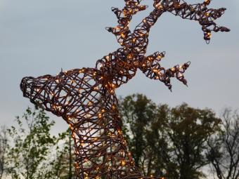 Beleuchteter Hirsch XL – 175 x 110 cm – Weihnachtsbeleuchtung