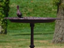 images/productimages/small/vgb.gietijz.vogel.nh-5511.jpg