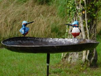 images/productimages/small/vogel.voeder.groot.za40600611.jpg