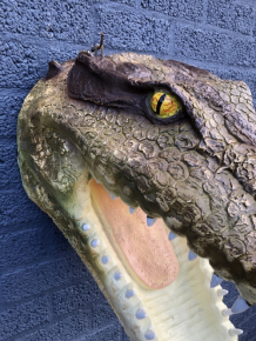 Lifelike crocodile head with open mouth, very nice design!