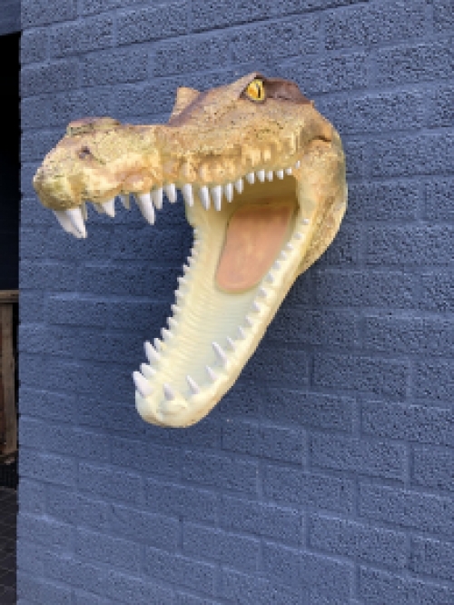 Lifelike crocodile head with open mouth, very nice design!