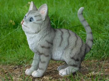 Gray kitty - polystone