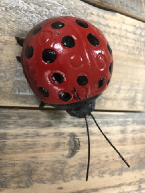 Ladybird, entirely cast iron, great!