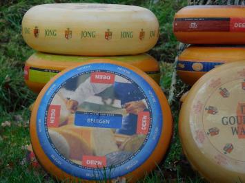 Decoratieve Kaaswielen - 2 stuks - Ø 35 cm - Diverse Soorten