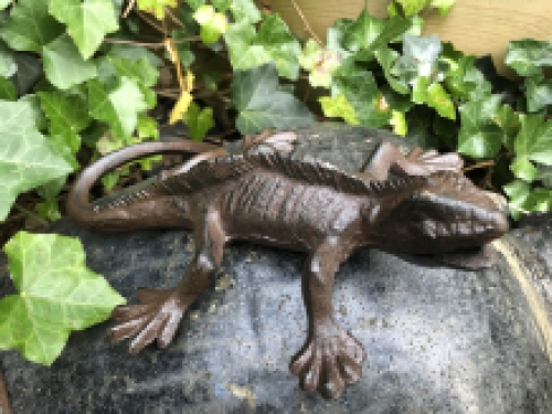 Eidechse, Gecko, Gusseisen braun, schöne Statue