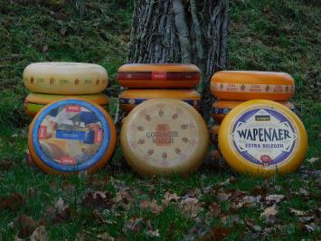Decoratieve Kaaswielen - 3 stuks - Ø 35 cm - Diverse Soorten