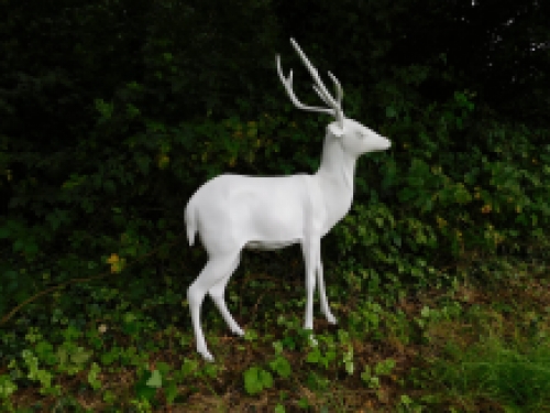 Wunderschöner lebensgroßer Hirsch mit Geweih, alu-weiß, sehr schön!