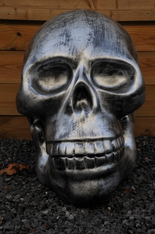 Very large anatomical skull, made of Polystein-grey-black