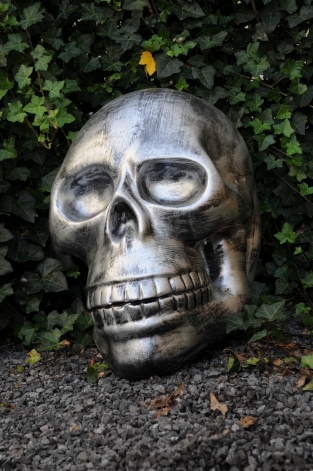 Zeer grote anatomische schedel, uit Polystein-grijs-zwart