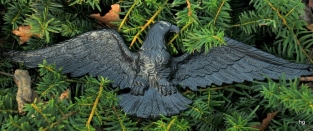 Wall decoration cast iron Eagle, beautiful eye-catcher!!