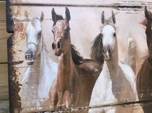 Groot wandbord met daarop 11 prachtige paarden.