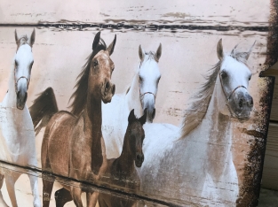 Groot wandbord met daarop 11 prachtige paarden.