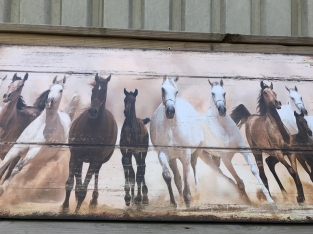 Groot wandbord met daarop 11 prachtige paarden.