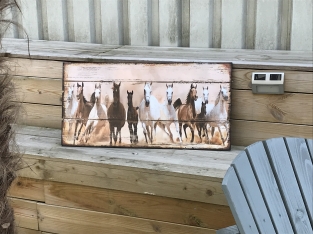 Groot wandbord met daarop 11 prachtige paarden.