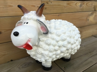Ram polystone, geweldig funny beeld!