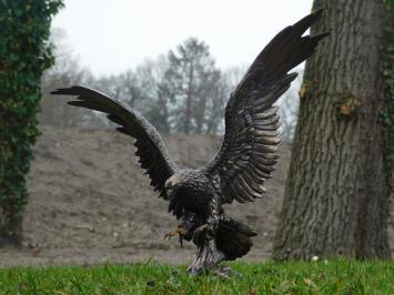 Eagle - bronze - polystone- No sending!