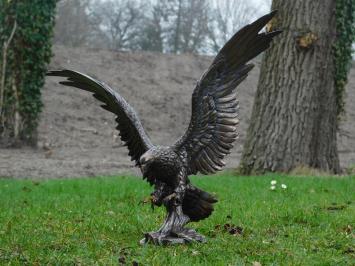 Eagle - bronze - polystone- No sending!