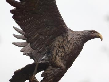 Bronze Eagle on Marble Base - 51 cm - Sculpture