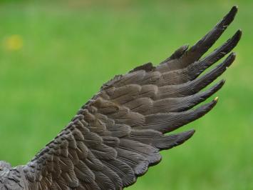 Bronze Eagle on Marble Base - 51 cm - Sculpture