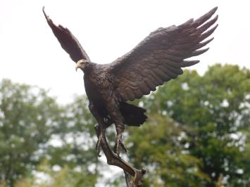Bronzeadler auf Marmorsockel - 51 cm - Skulptur
